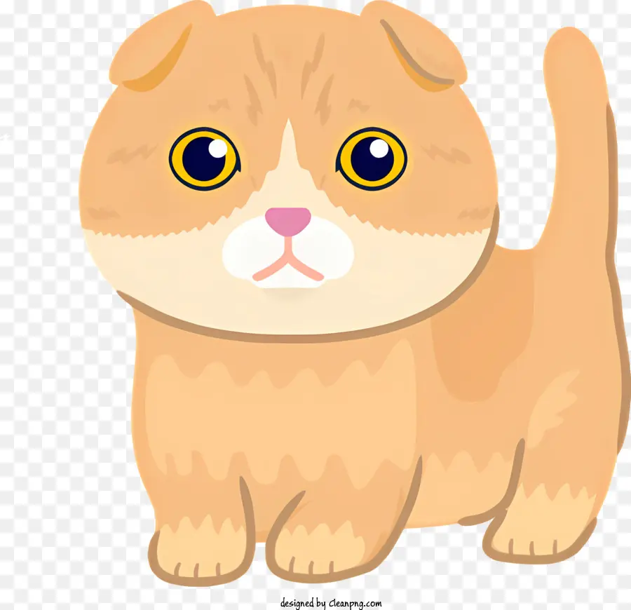 Gato Doméstico，Gato Naranja Y Blanco PNG