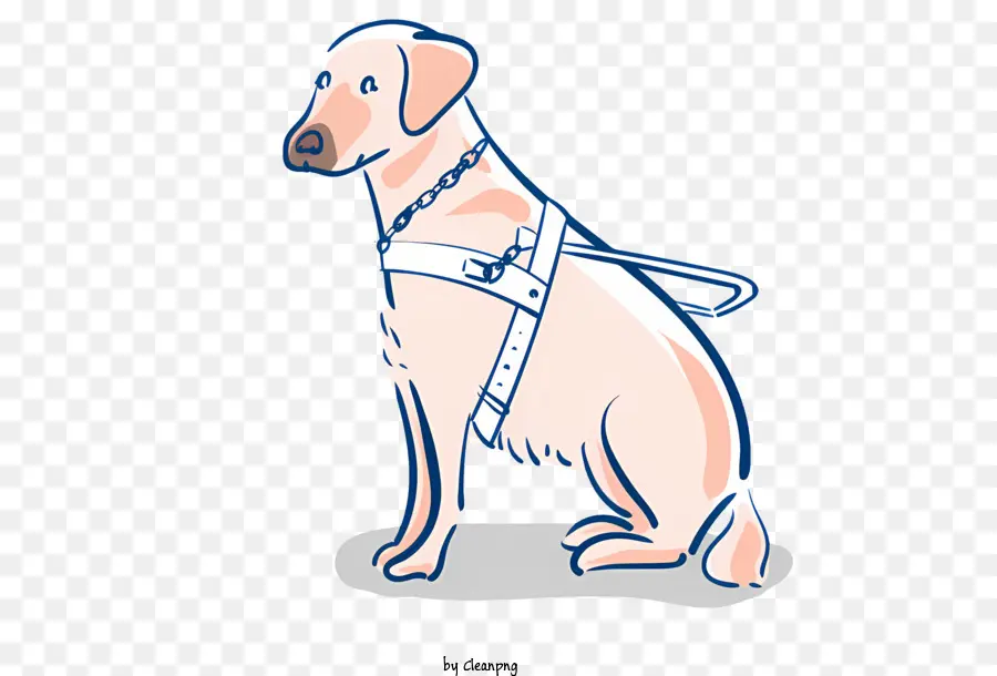 Perro Arnés，Collar De Perro PNG