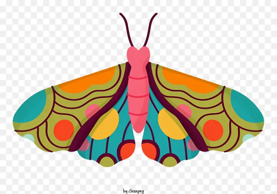 Mariposa，Mariposa Colorida PNG