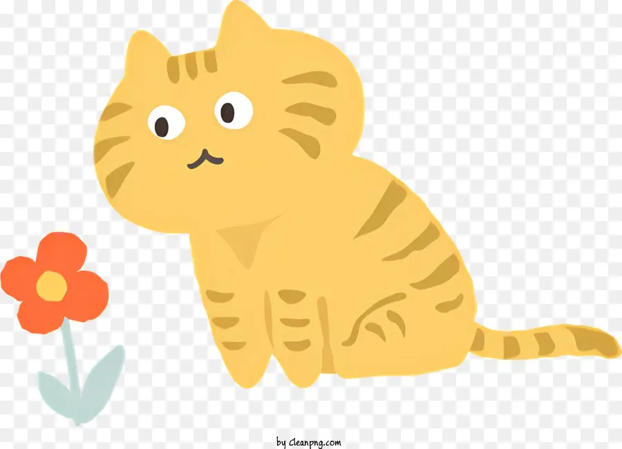 Gato，Flor PNG