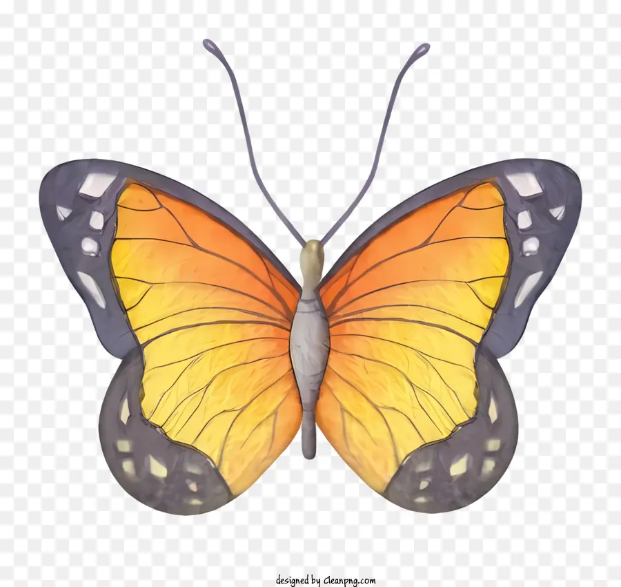 Mariposa De Color Naranja，Alas Transparentes PNG