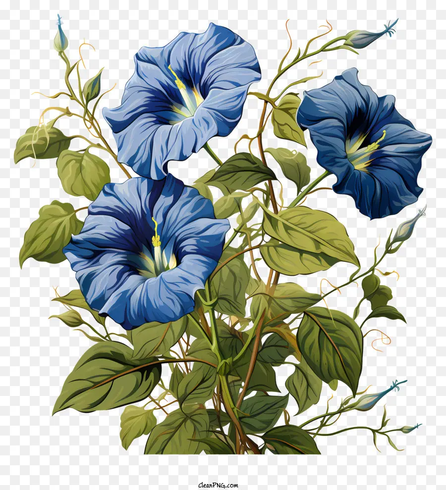 Cuadro，Flores Azules PNG