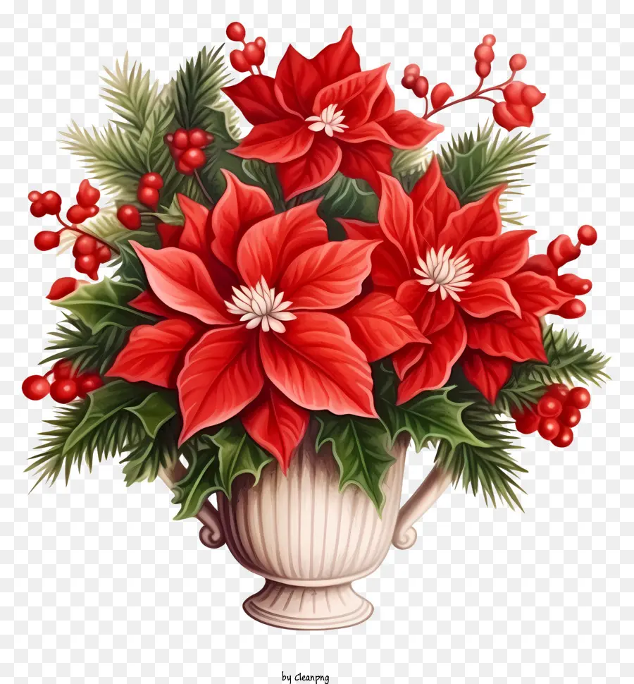 Jarrón De Flores Rojas，Poinsettias PNG