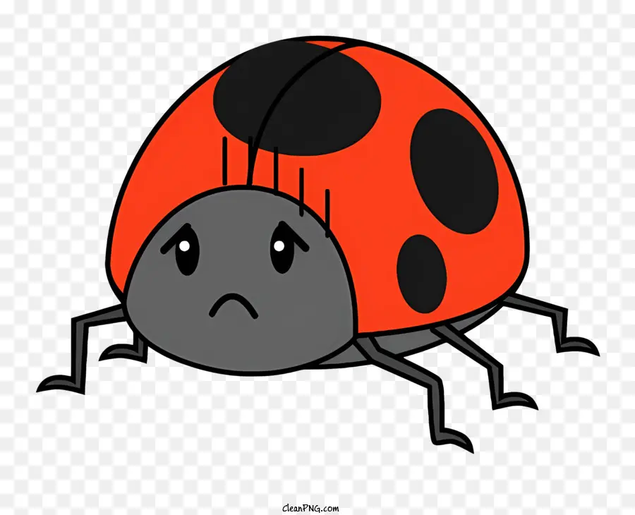 Ladybug，Los Insectos PNG