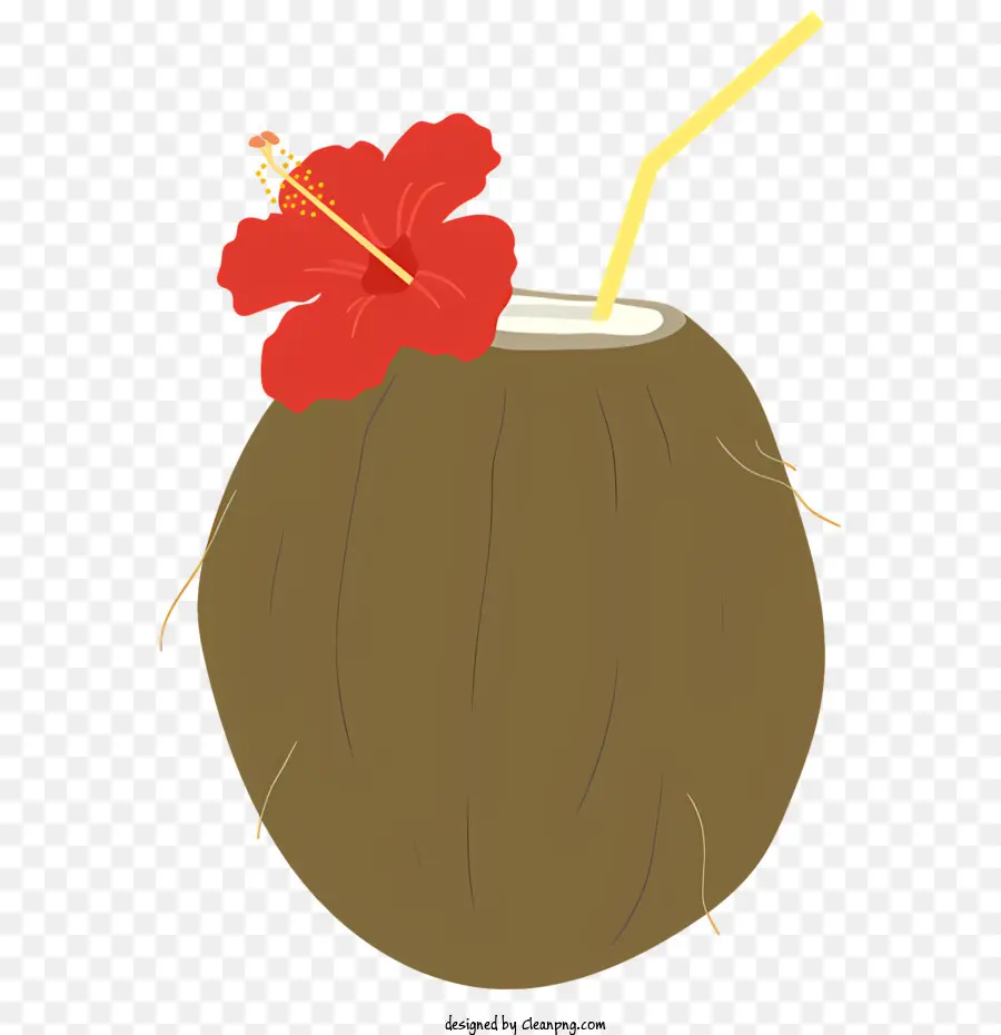 Coco，Flor Roja PNG