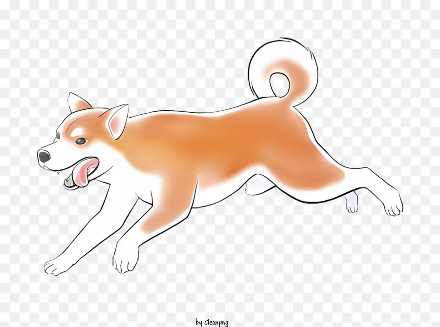 Perro De Dibujo，Perro PNG