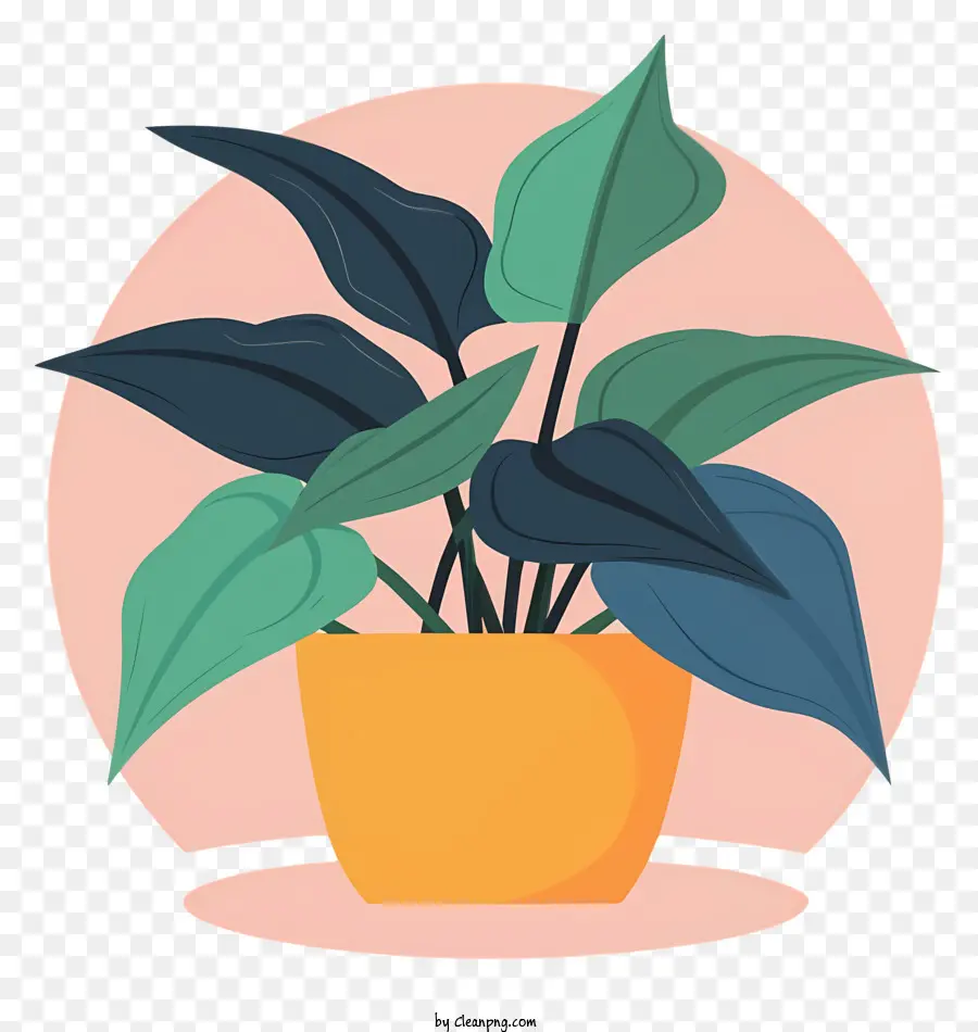 Dibujos Animados，Planta En Maceta PNG