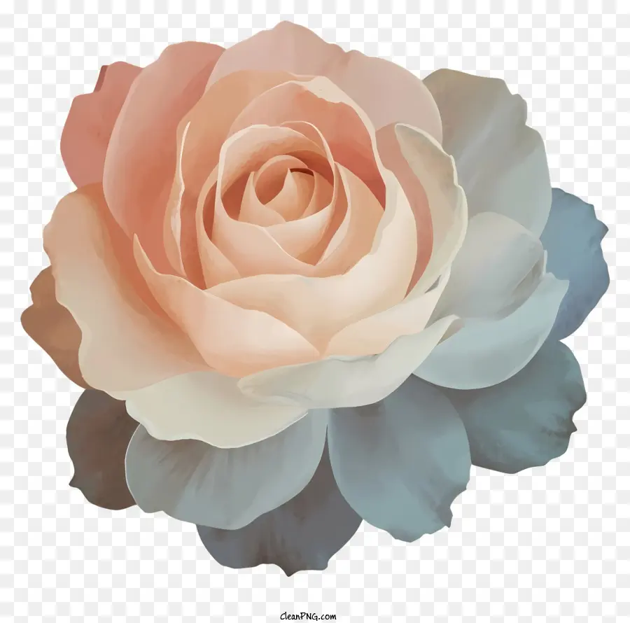 Flor，Rosa PNG