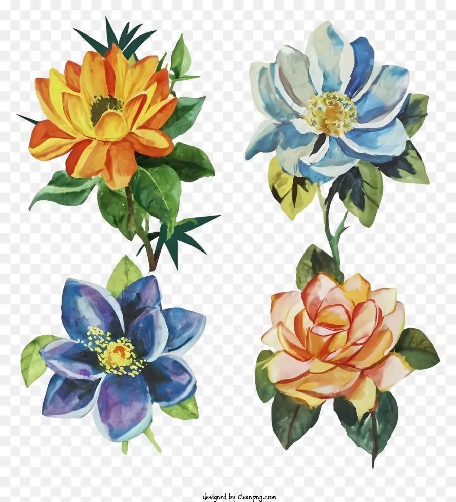 Dibujos Animados，Flores Coloridas PNG