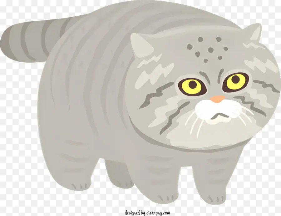 Gato Gris，Gato PNG