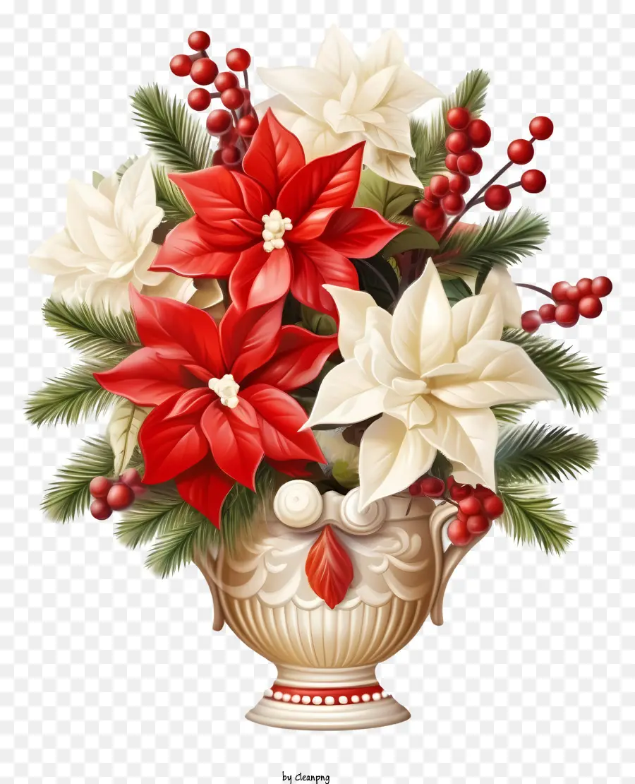 Poinsettia Roja Y Blanca，Florero PNG