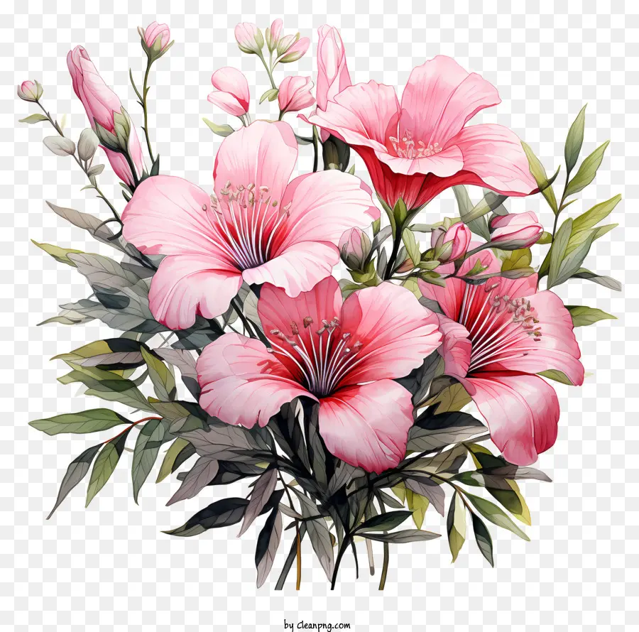 Flores Blancas Y Rosas，Las Rosas PNG