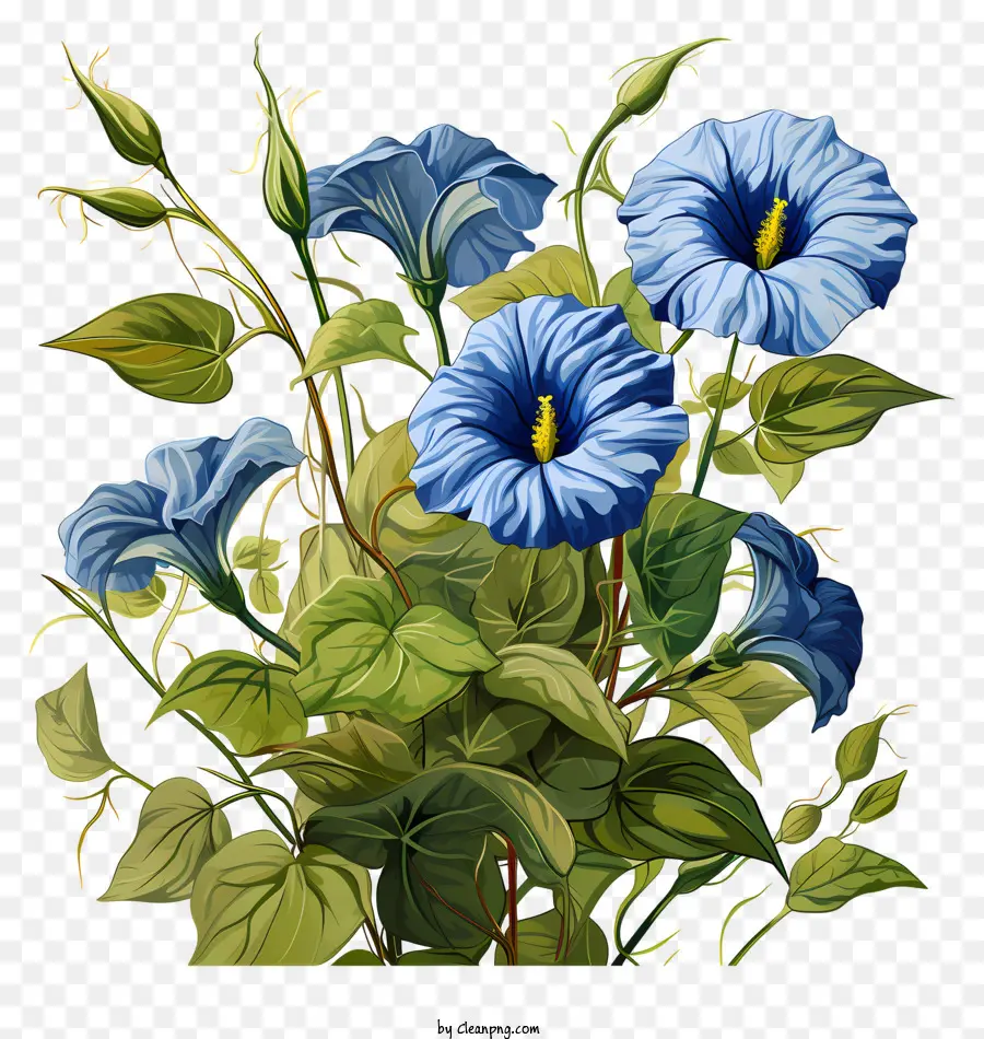 Flor Azul，Florero PNG