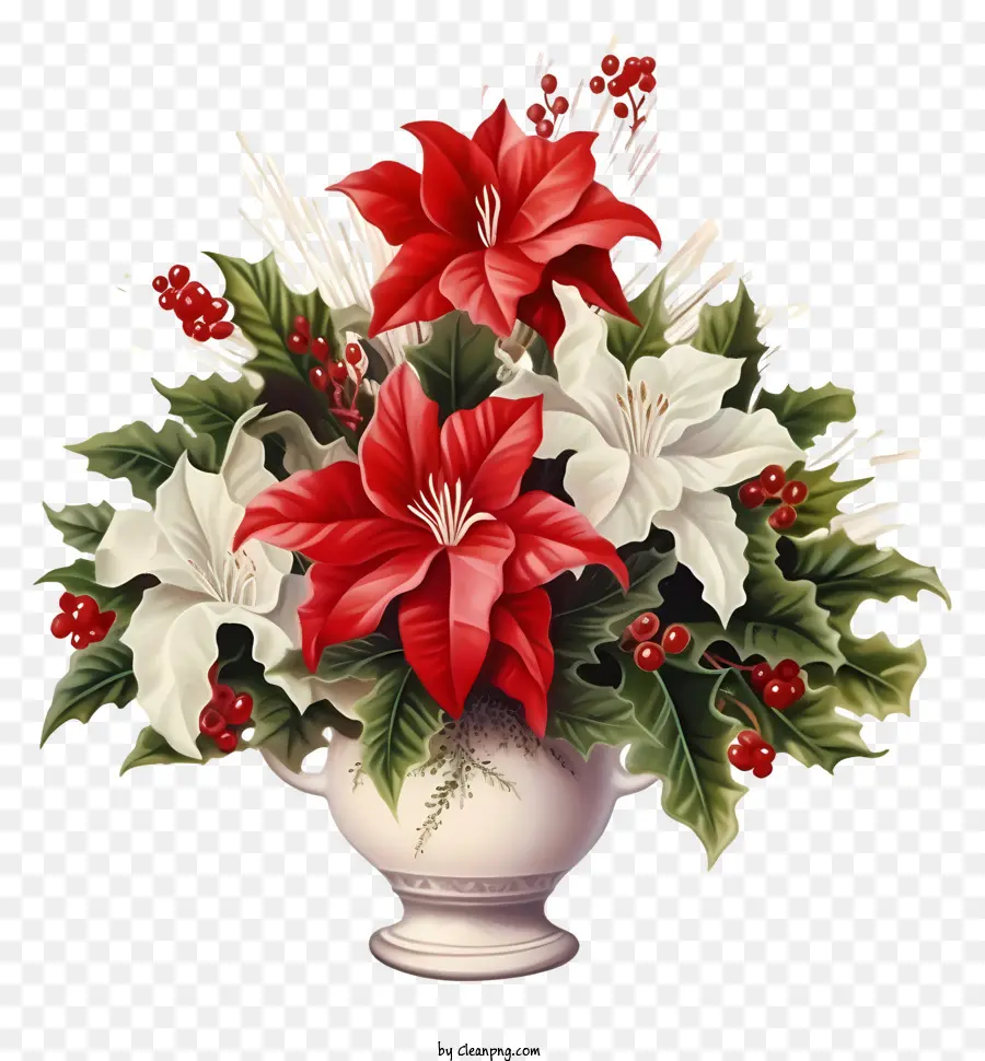 Flores Rojas Y Blancas，Poinsettias PNG