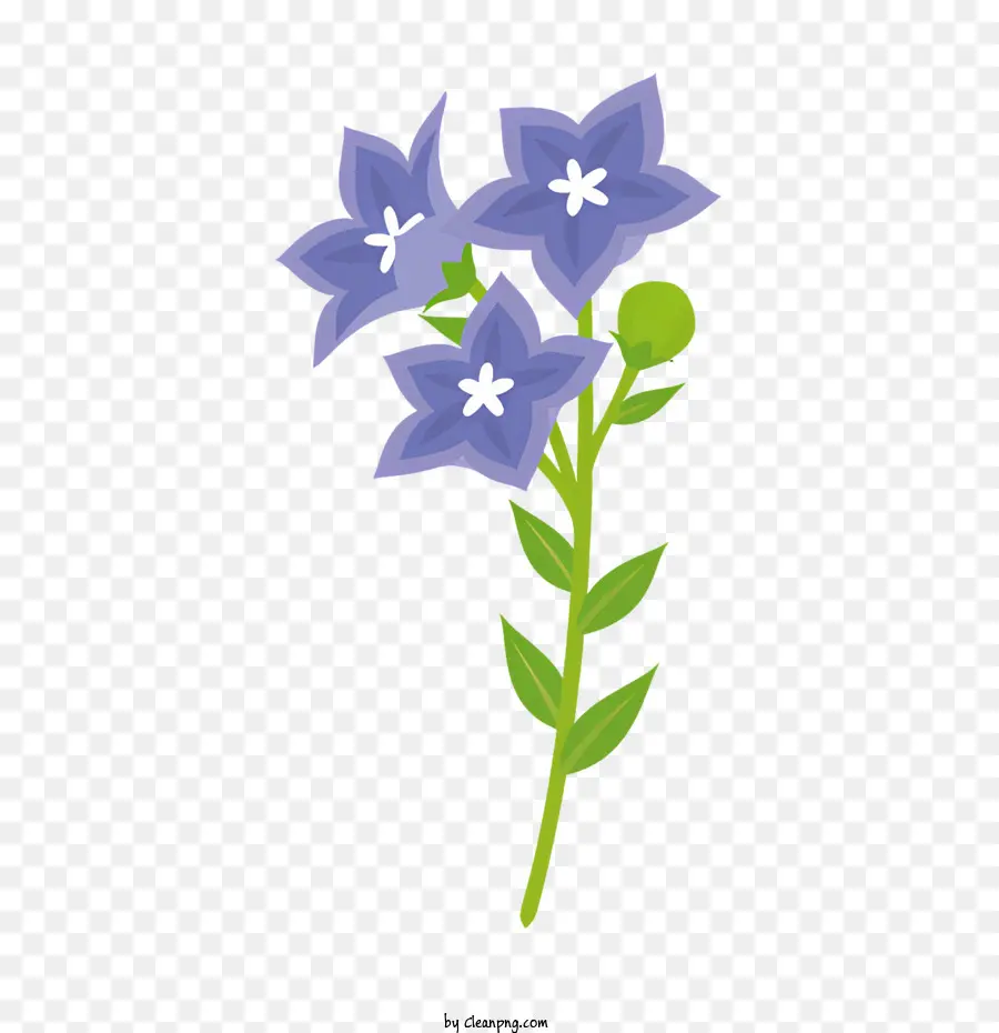 Flor Azul，Flores Blancas PNG
