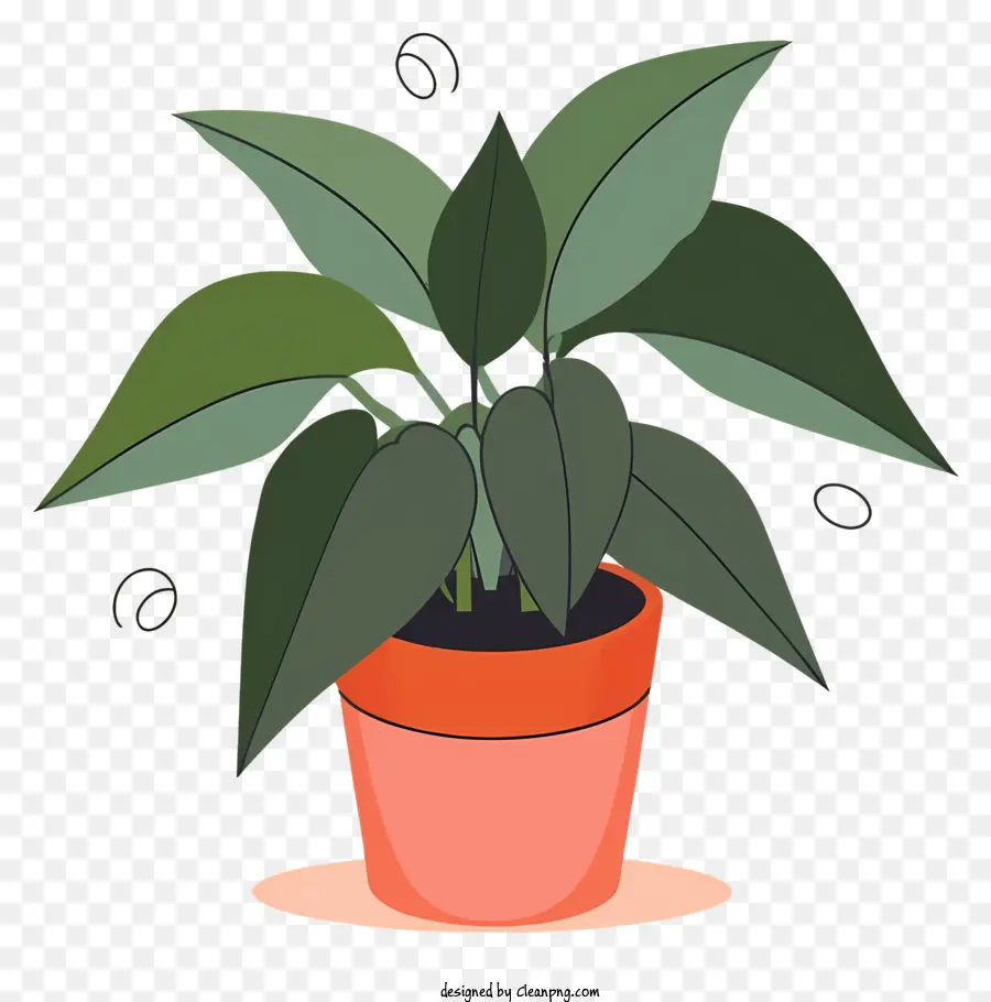 Planta En Maceta，Planta Verde PNG