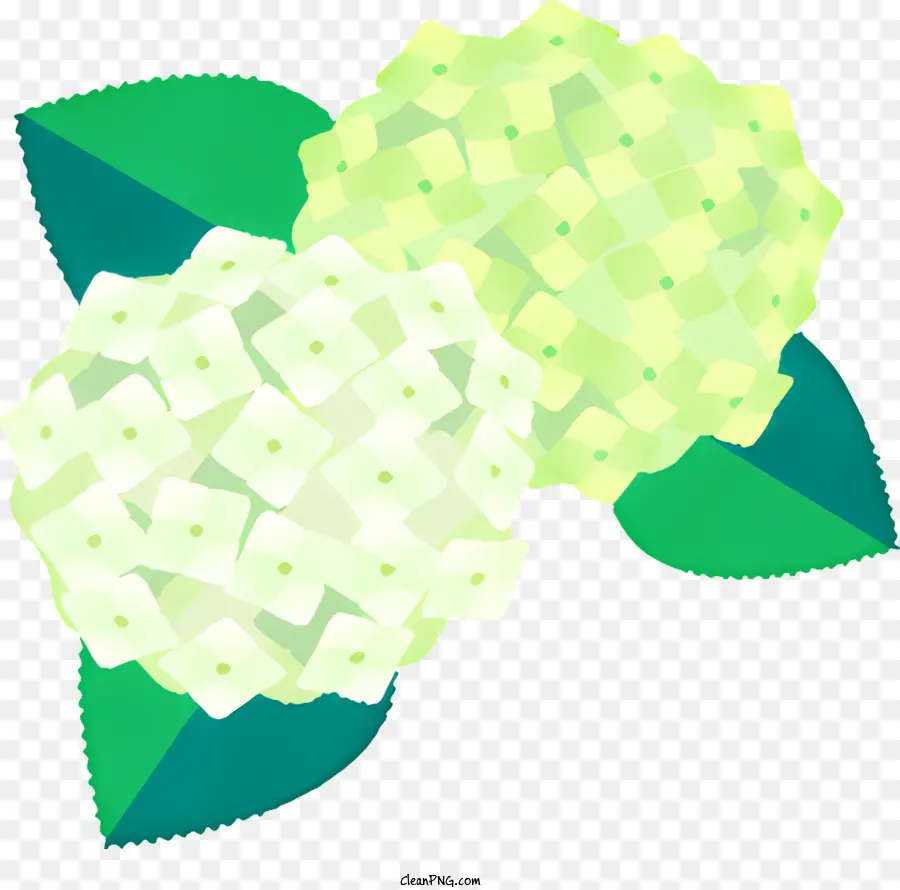 La Historieta，Flores De Hortensia Verde PNG