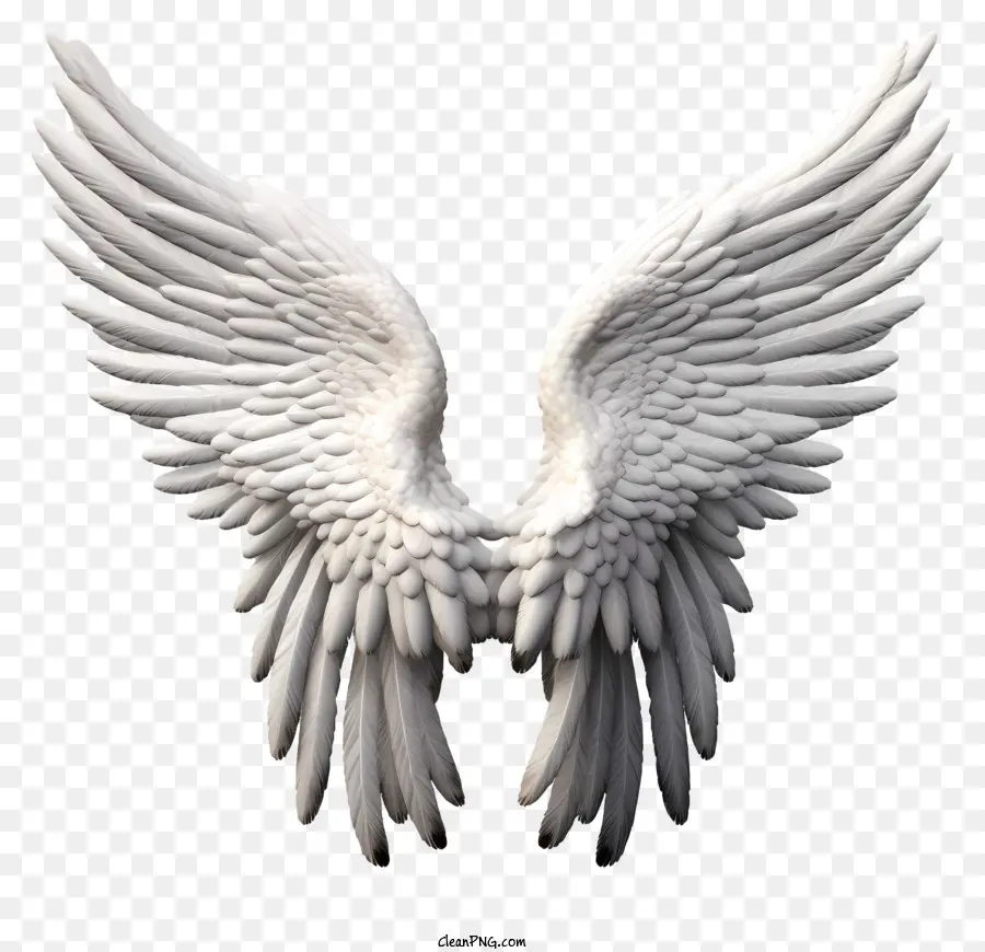 Ángel Wings Emoji，Alas De ángel PNG