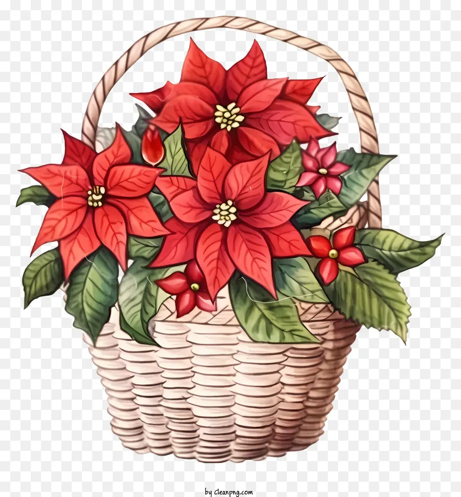 Canasta De Flores De Navidad Doodle，Poinsettias Rojas PNG