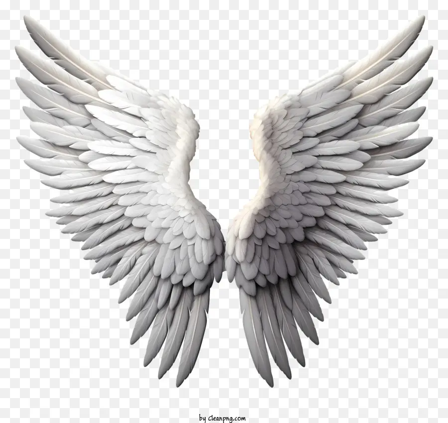 Ángel Wings Emoji，Alas PNG
