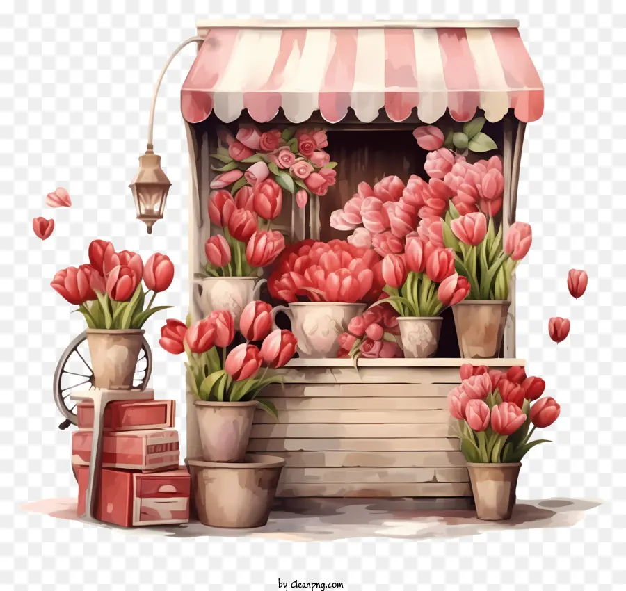 Pista Romántica Del Día De San Valentín，Tulipa Roja PNG