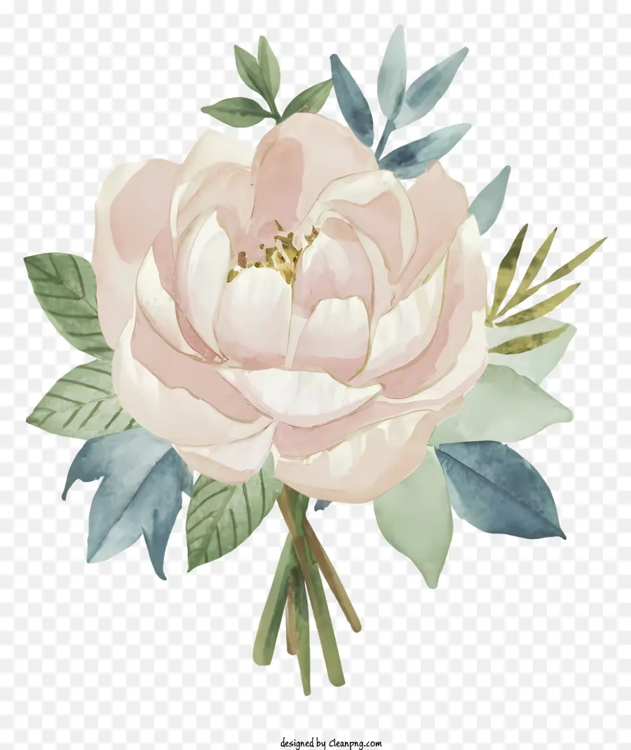 La Historieta，Peonies Pink PNG