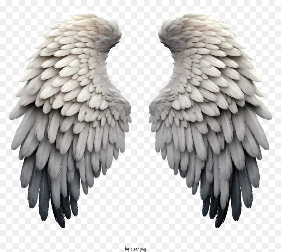 Alas De ángel Realistas，Alas De Plumas PNG