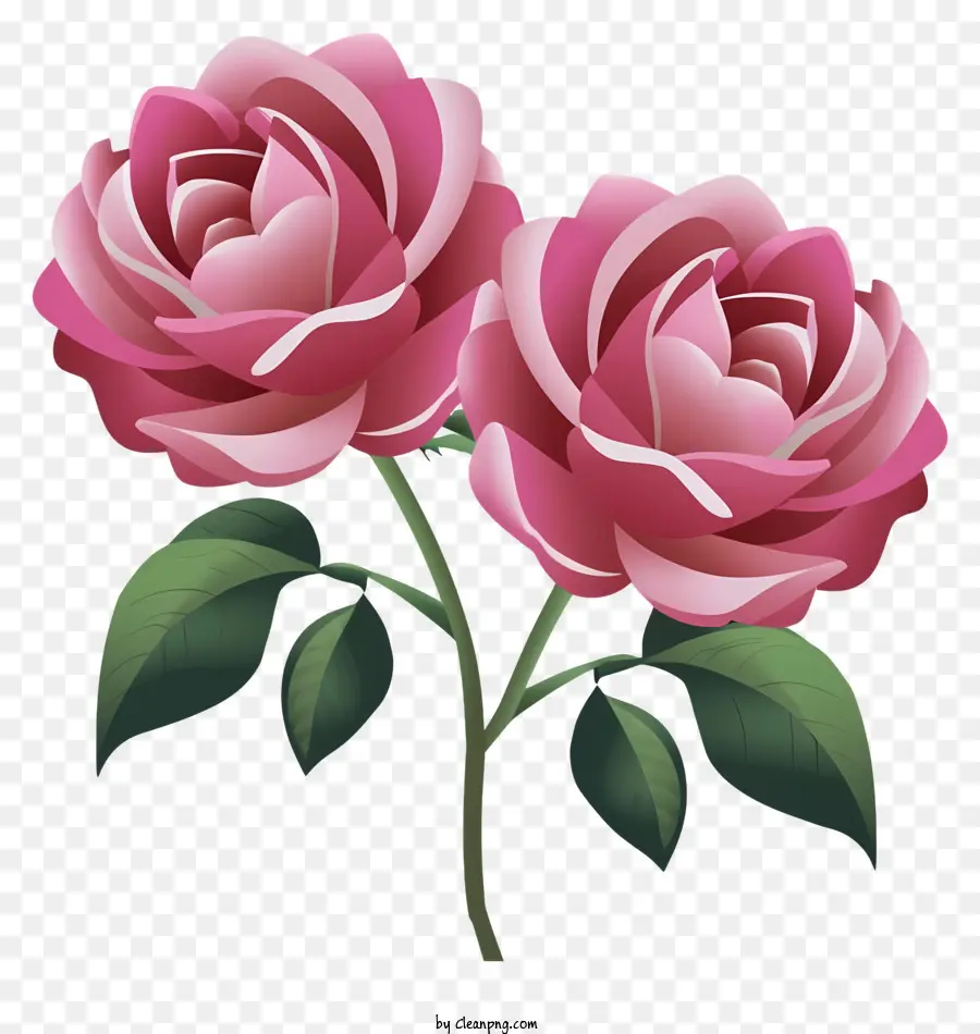 La Historieta，Rosas De Color Rosa PNG