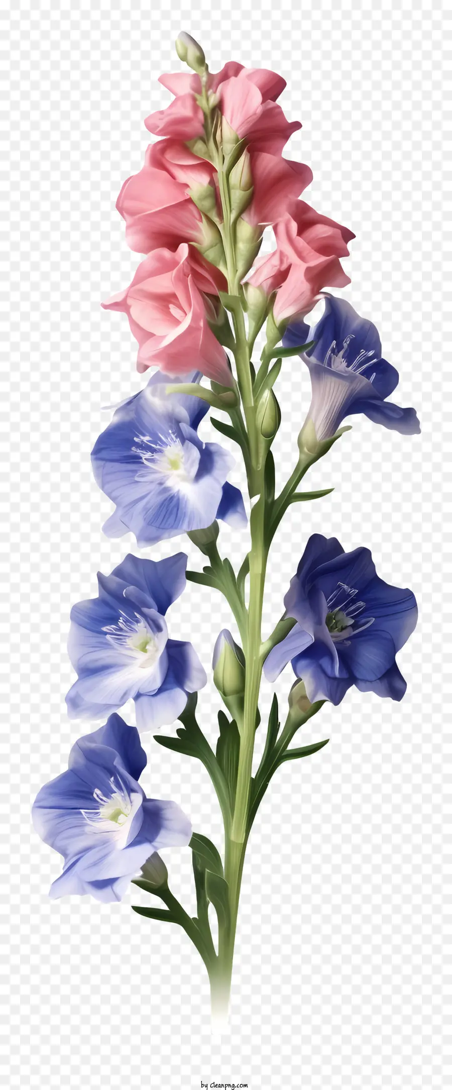 Flor Realista Del Delfinio 3d，Flores Moradas PNG