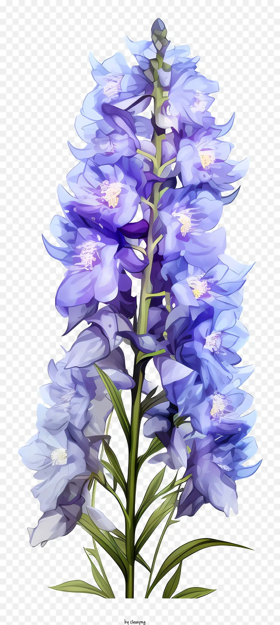 Doodle Flor Delfinio，Flor Morada PNG