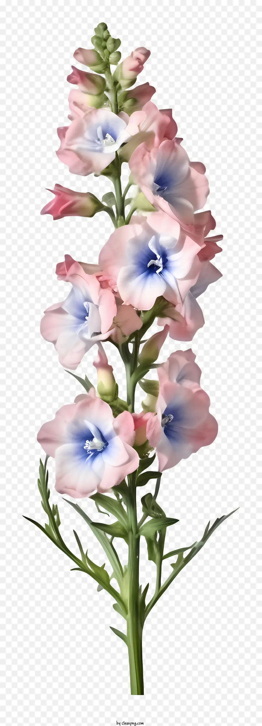 Flor Realista Del Delfinio 3d，Flores Moradas PNG