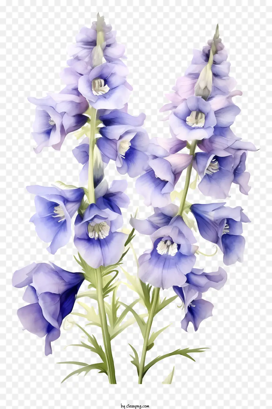 Arte De Flores De Delphinium，Flor Azul Alta PNG