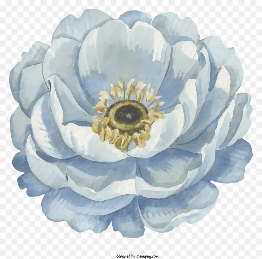 Flor Elegante De Delphinium，Flor Blanca PNG