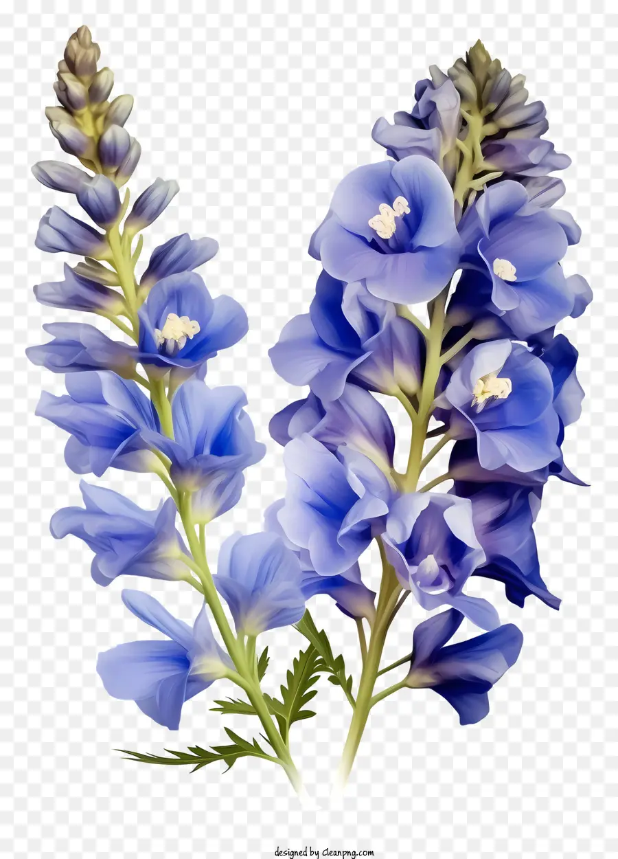 Flor De Delfinio Plana，Flores De Color Azul PNG