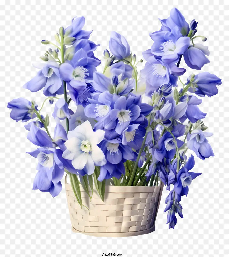 Cesta De Delicadas Flores De Delphinium，Flores Azules PNG