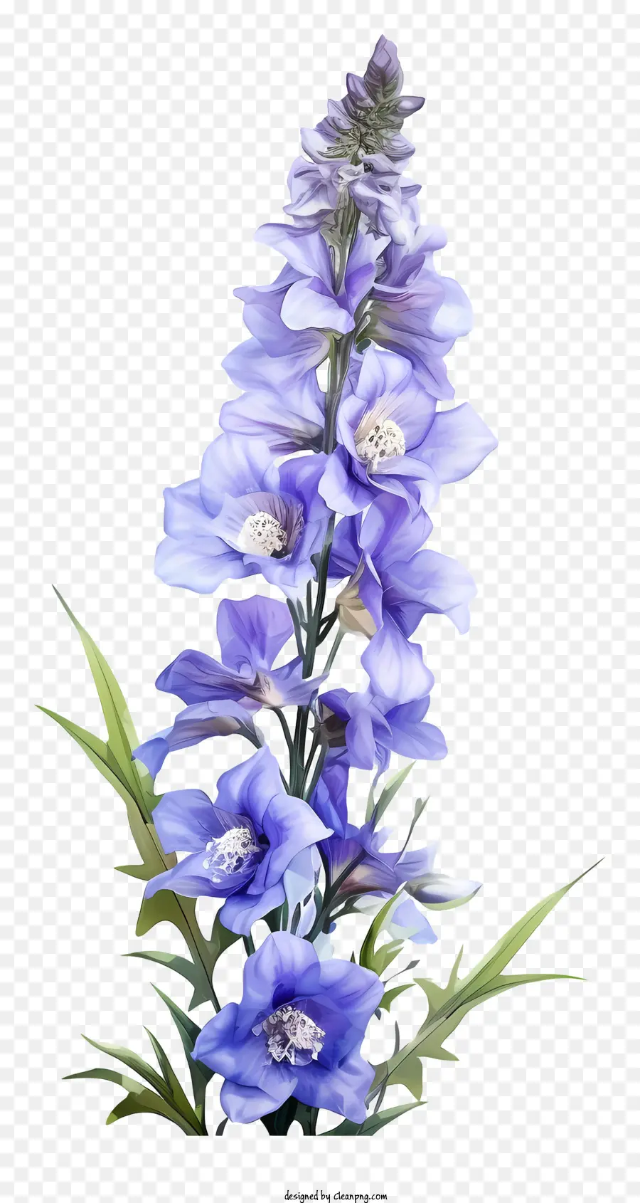 Doodle Flor Delfinio，Flor Morada PNG