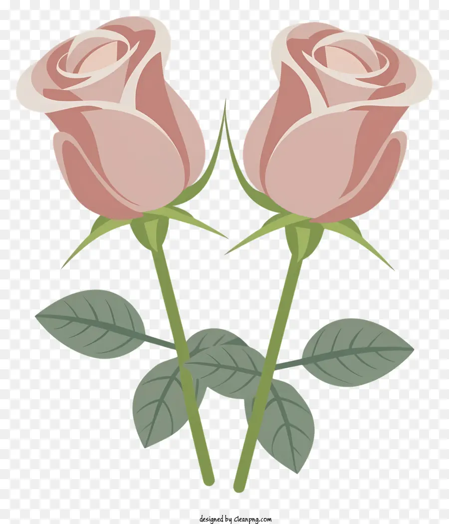 Dibujos Animados，Rosas Rosadas PNG