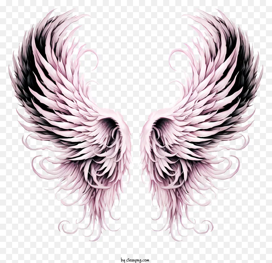 Sketch Angel Wings，Alas De ángel PNG