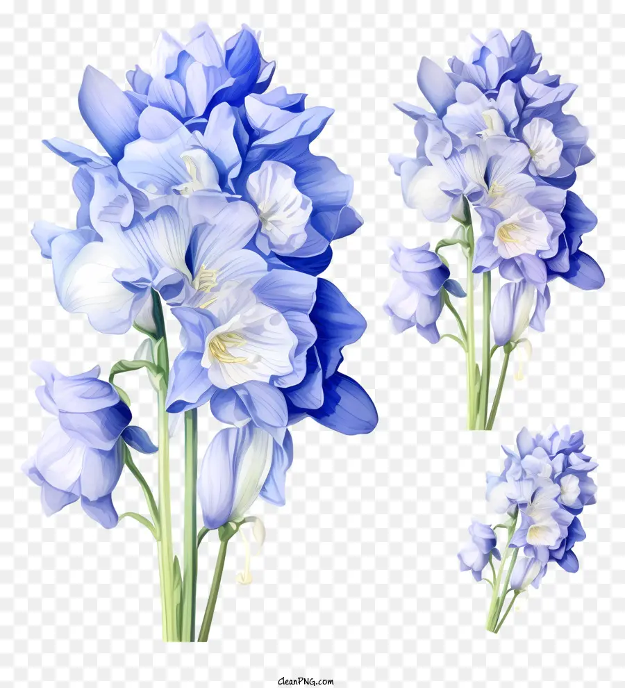 Doodle Flor Delfinio，Flores Azules PNG