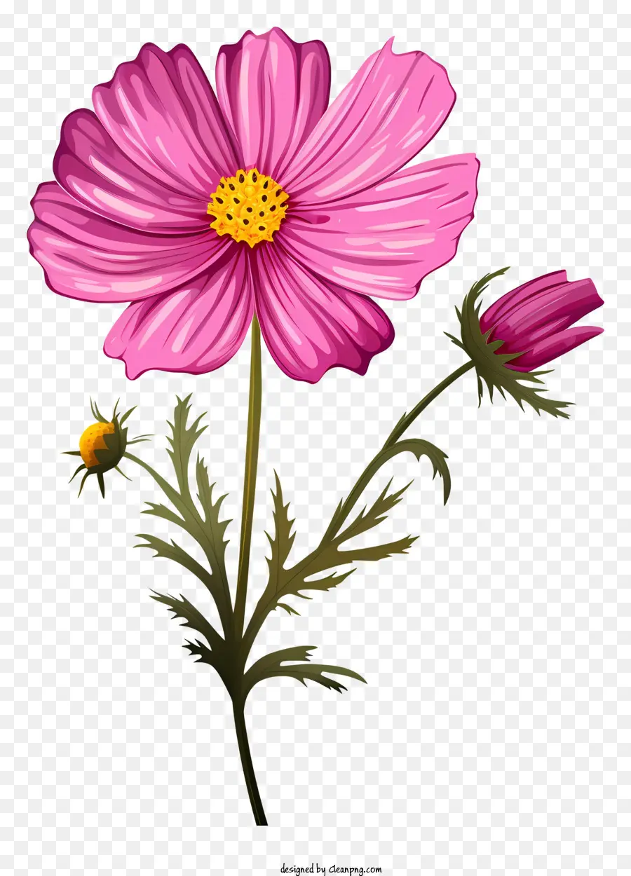 Flor Del Cosmos De Dibujos Animados，Flores Rojas PNG