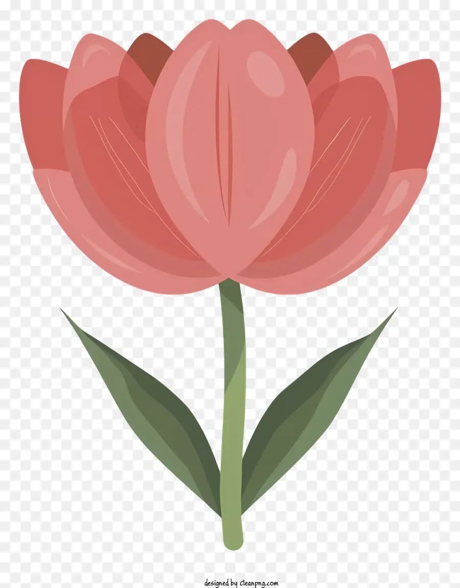 Dibujos Animados，Tulipán Rojo PNG