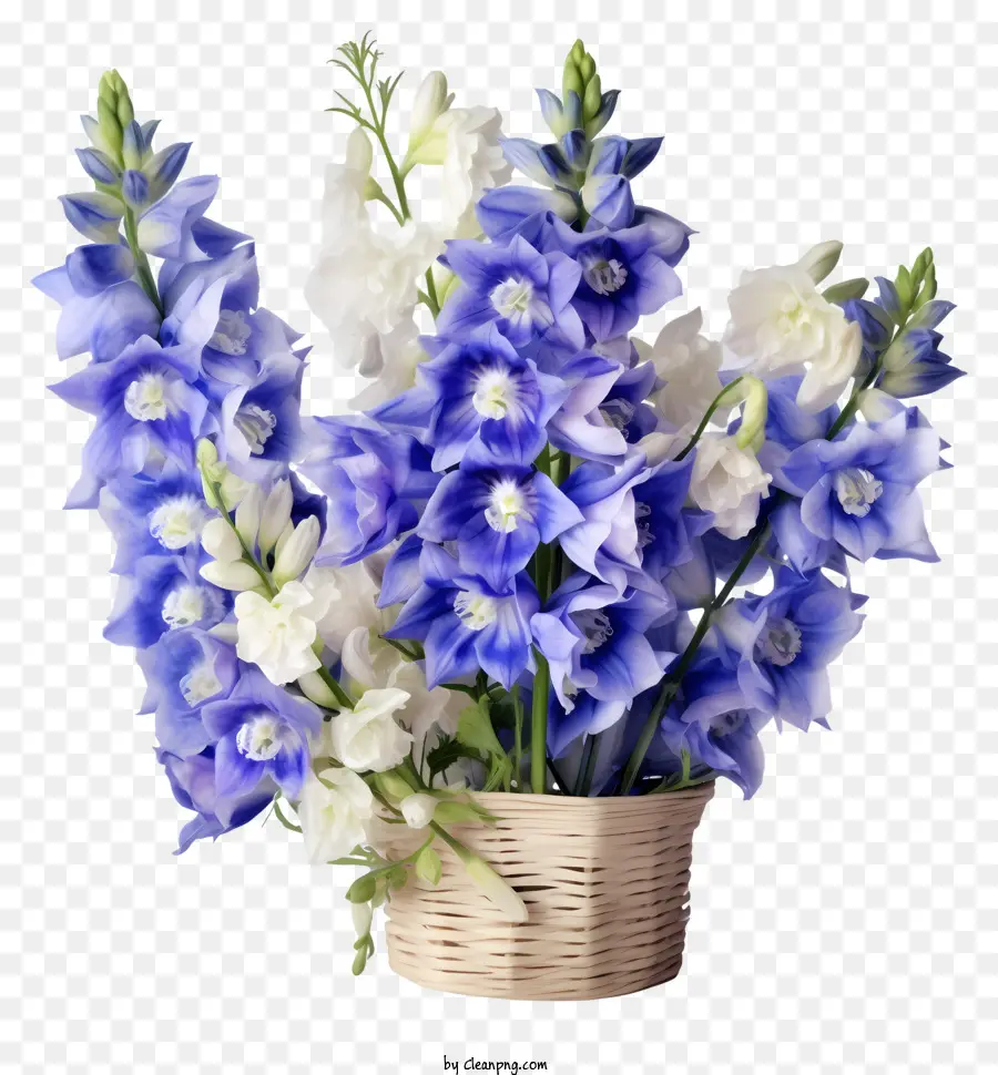 Canasta De Flores Delfinios Delicadas，Azul Y Blanco Flores PNG