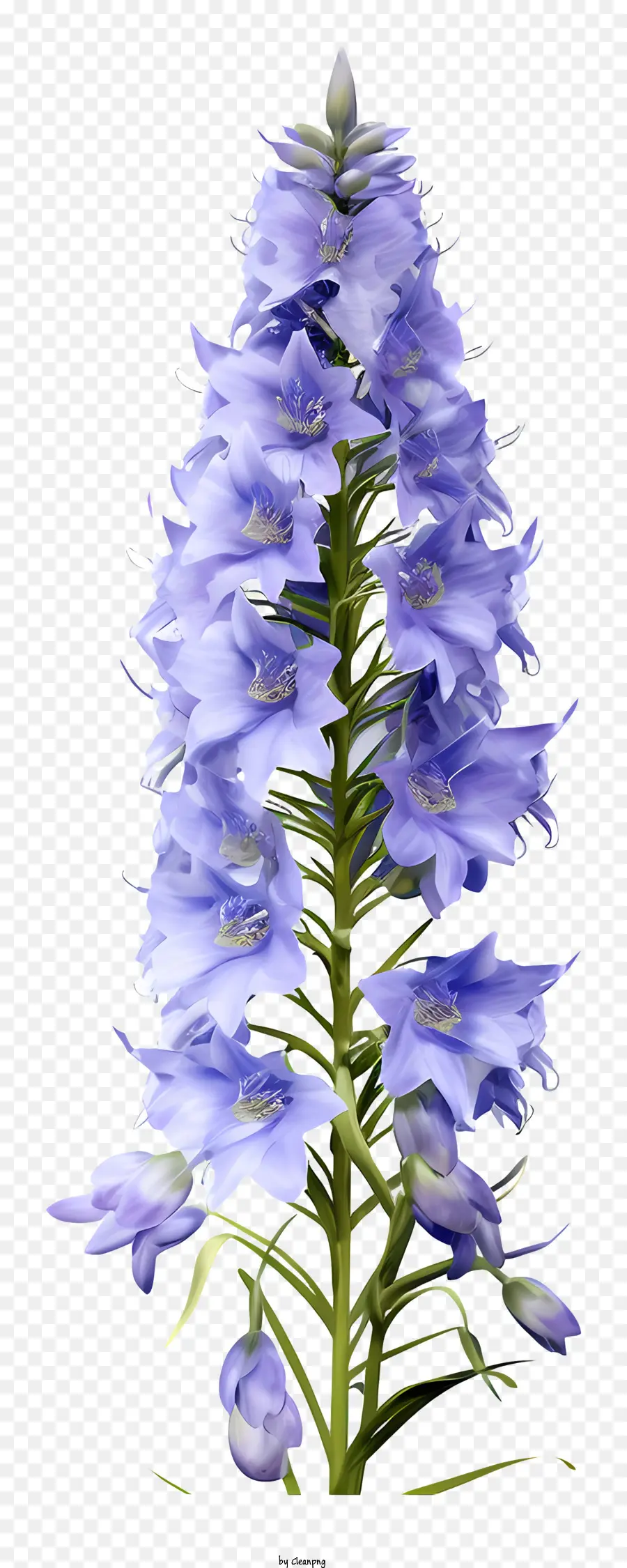 Flor Realista 3d Delphinium，Flor Azul PNG