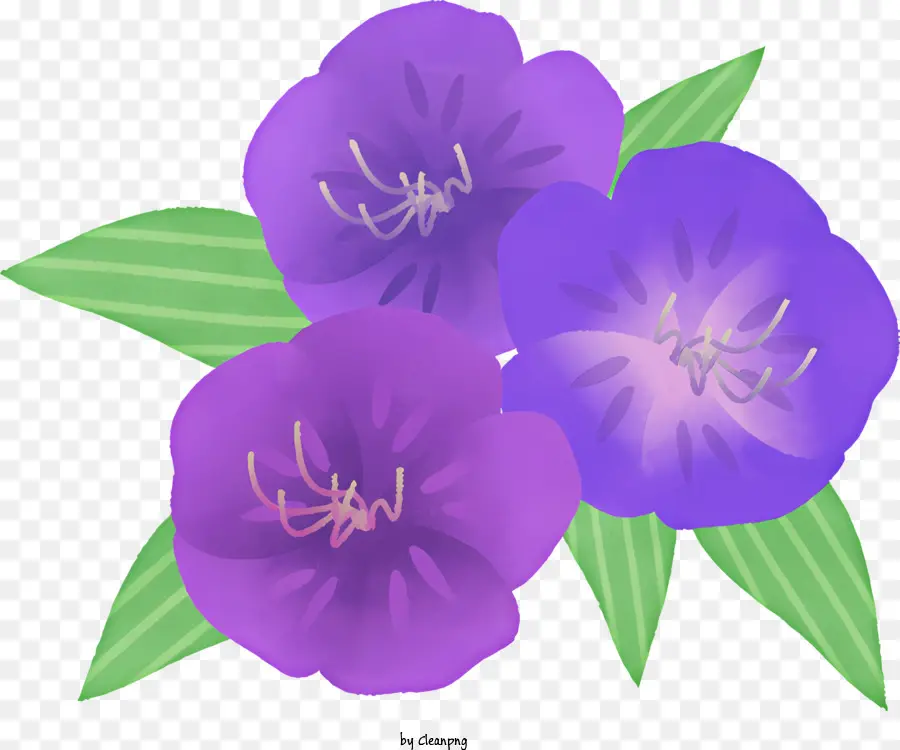 Dibujos Animados，Flores Moradas PNG