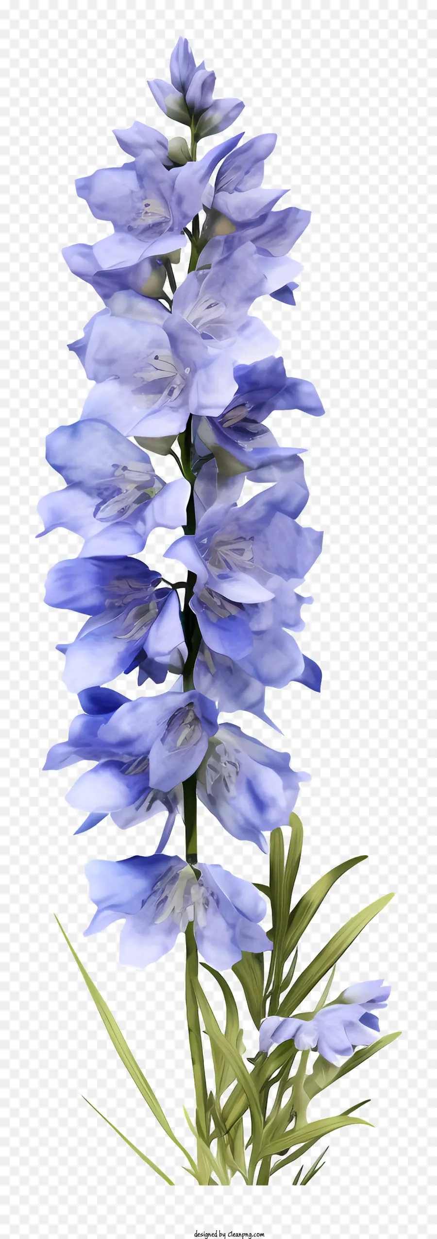 Flor Realista 3d Delphinium，Flor Azul PNG