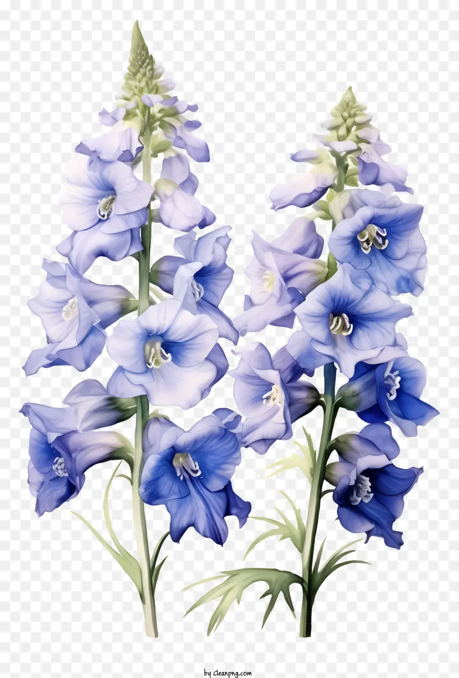 Flor De Delfinio，Flores De Color Azul PNG