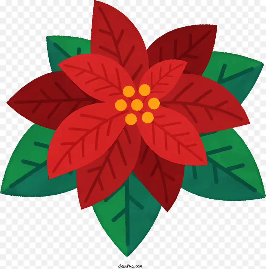 La Historieta，Flor De Poinsettia Roja PNG