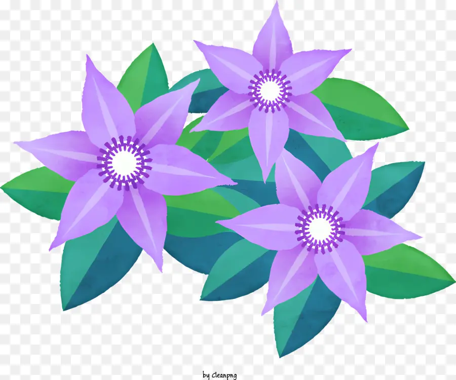La Historieta，Flores De Color Púrpura PNG