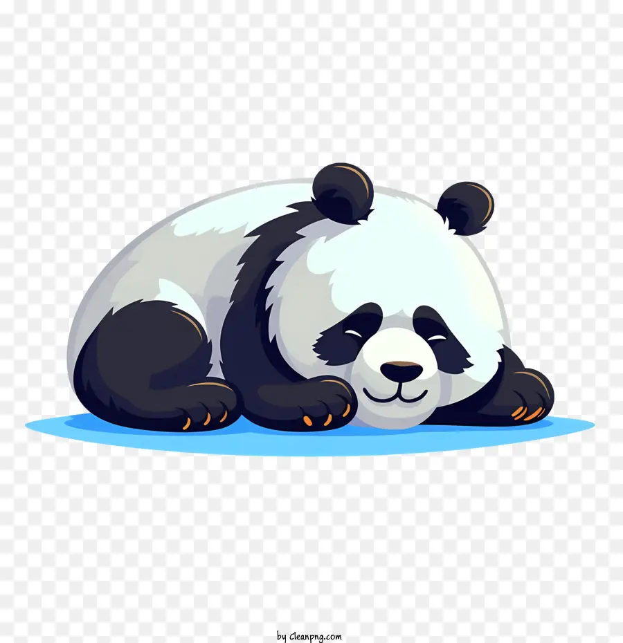 Lindo Panda，Panda PNG