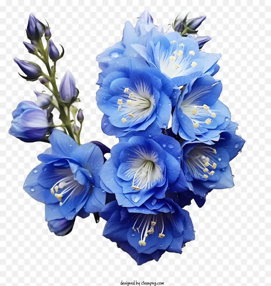 Flor Del Delfinio，Flores Azules PNG